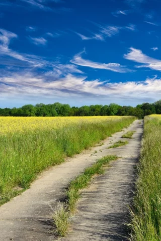 природа, красота