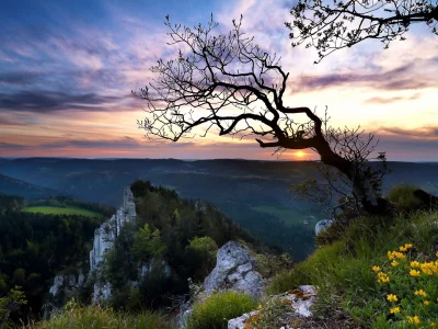 природа, красота