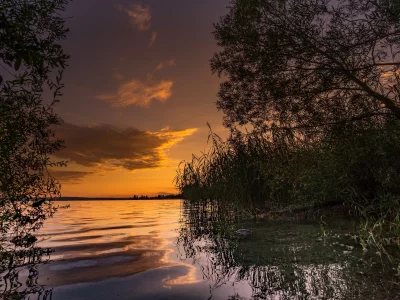 природа, красота