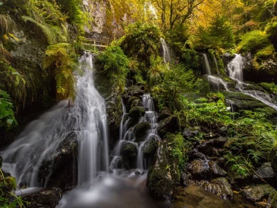 природа, красота