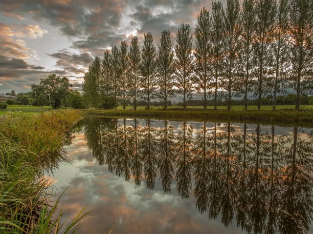 природа, красота