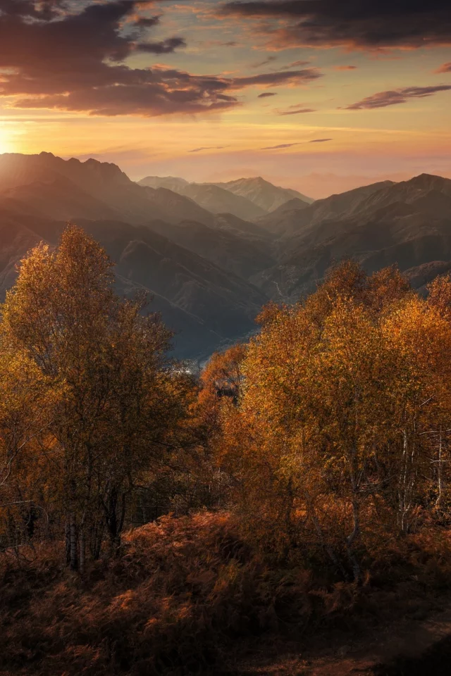 закат, осень