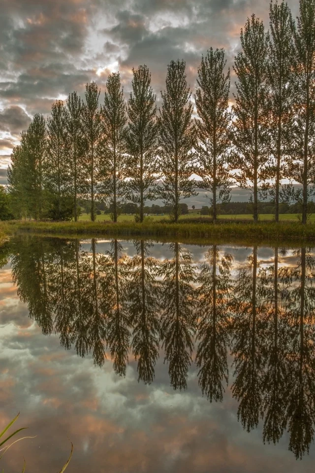 природа, красота