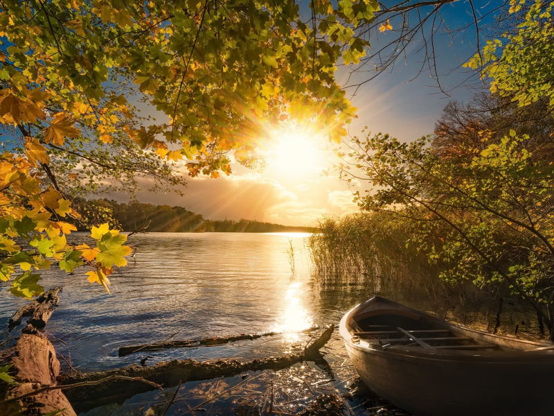 осень, свет, лодка, озеро, утро