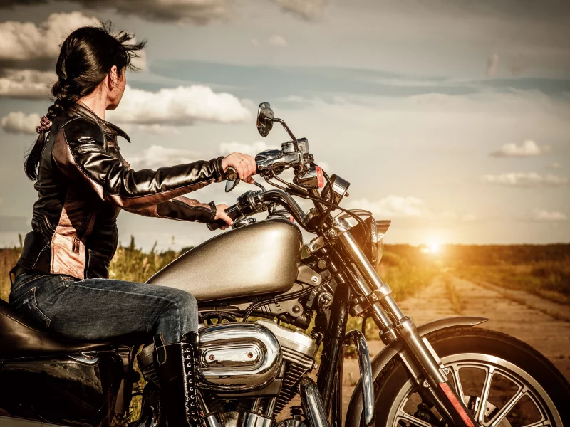 мотоцикл, харли дэвидсон, харли, дэвидсон, харлей, девушка, motorcycle, harleydavidson, harley davidson, harley, davidson, hd, girl, browne, dress, costume, leather, black, sunrise, motorbike, bike, storm, highball, white, see, sun, nice, wide