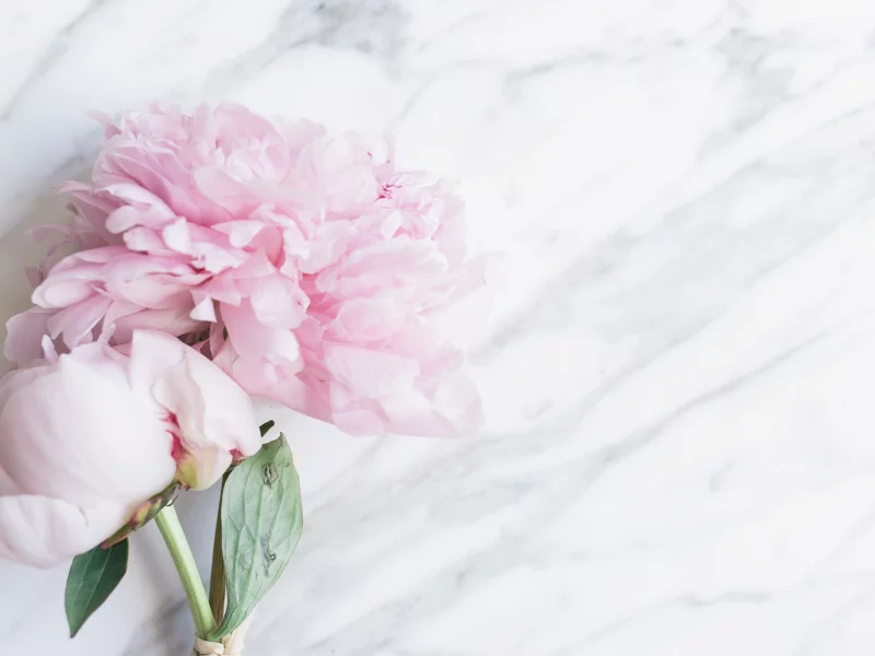 marble, пионы, мрамор, pink, peonies, tender, букет, flowers, цветы