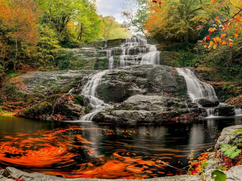 природа, красота