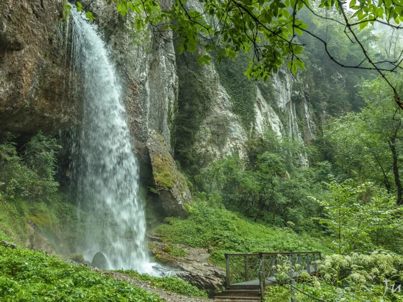 природа, красота