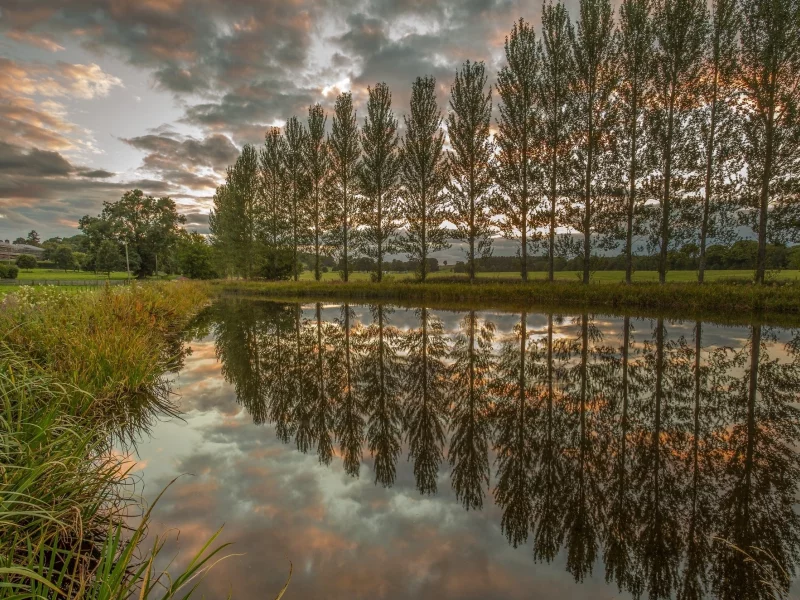 природа, красота