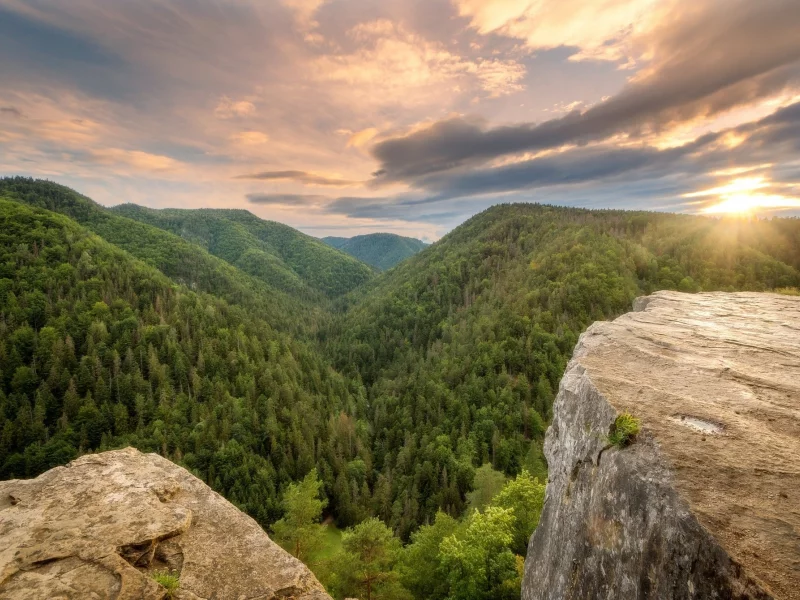 природа, красота