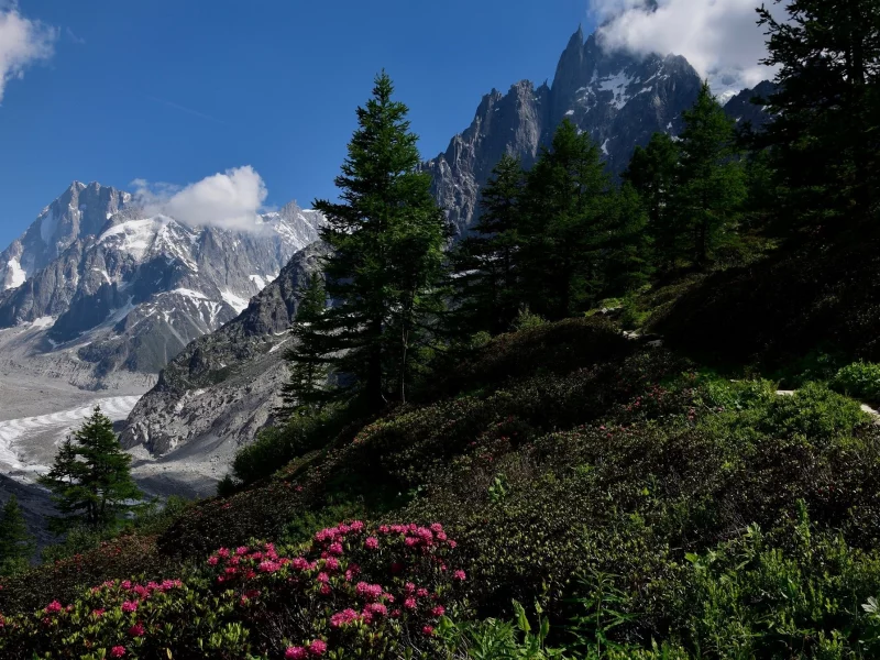 природа, красота