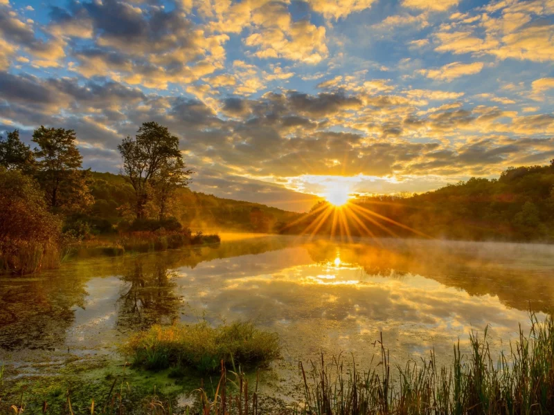 природа, красота