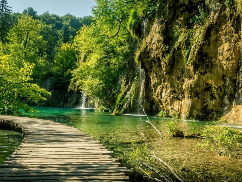 природа, красота