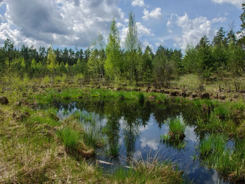 природа, красота