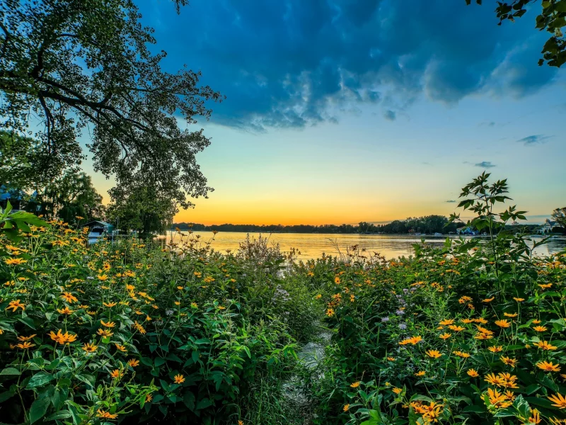 природа, красота