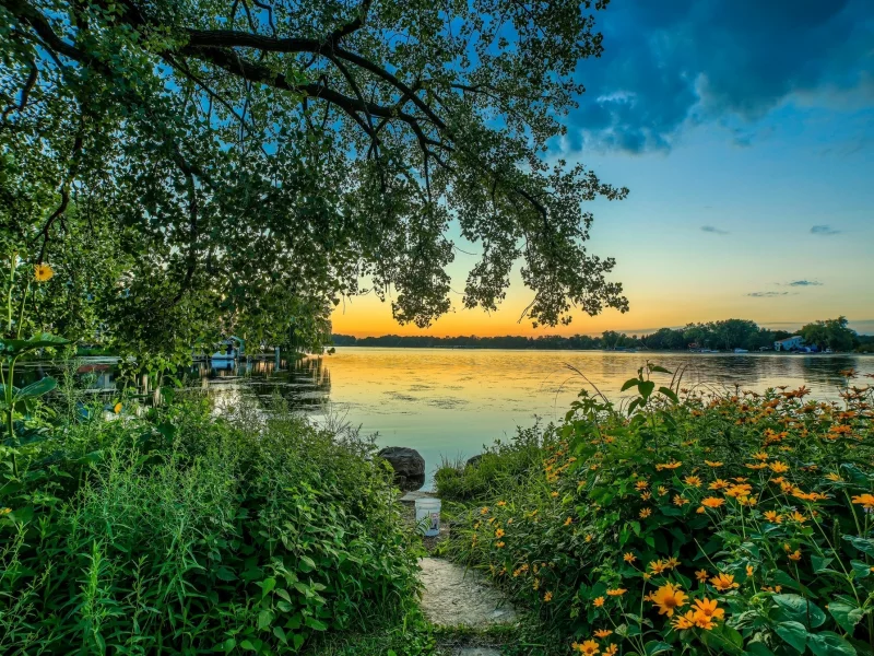 природа, красота