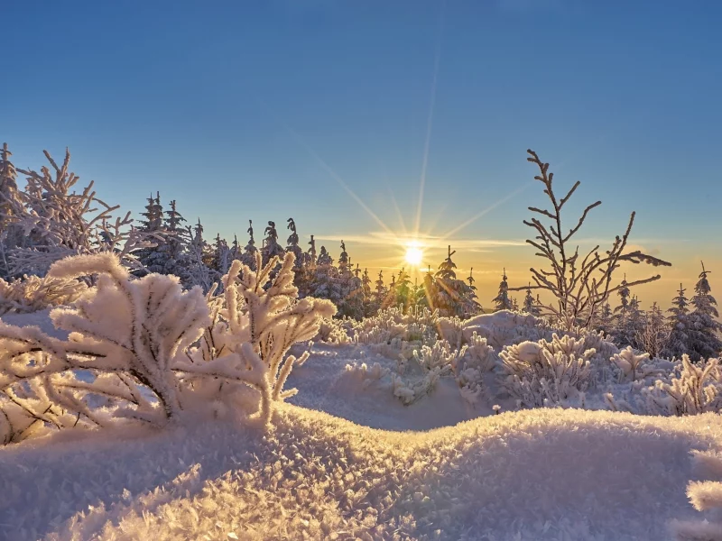 природа, красота