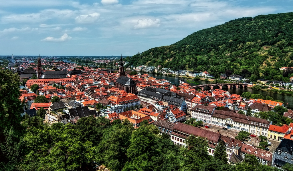 вид, на, старый, город, гейдельберг, look at the old town of heidelberg, old, town, heidelberg, city, day, sky, see, nice, wide