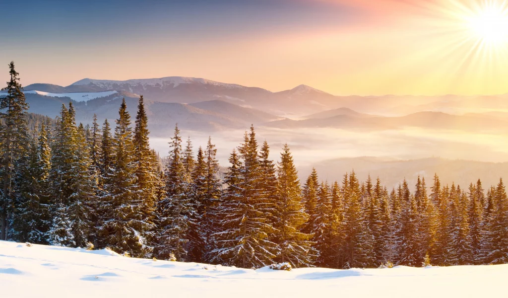 лес, зима, forest, whinter, light, snow, nature, trees, fir, spruce, landscapes, see, sun, sky, nice, wide