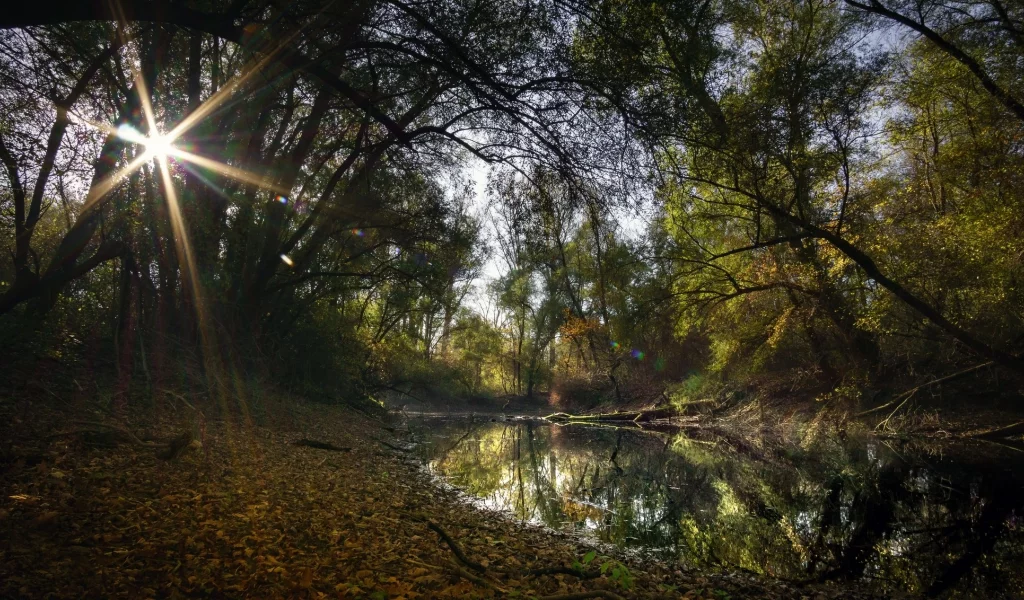 природа, красота