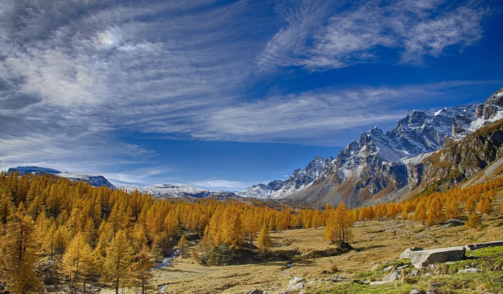 природа, красота