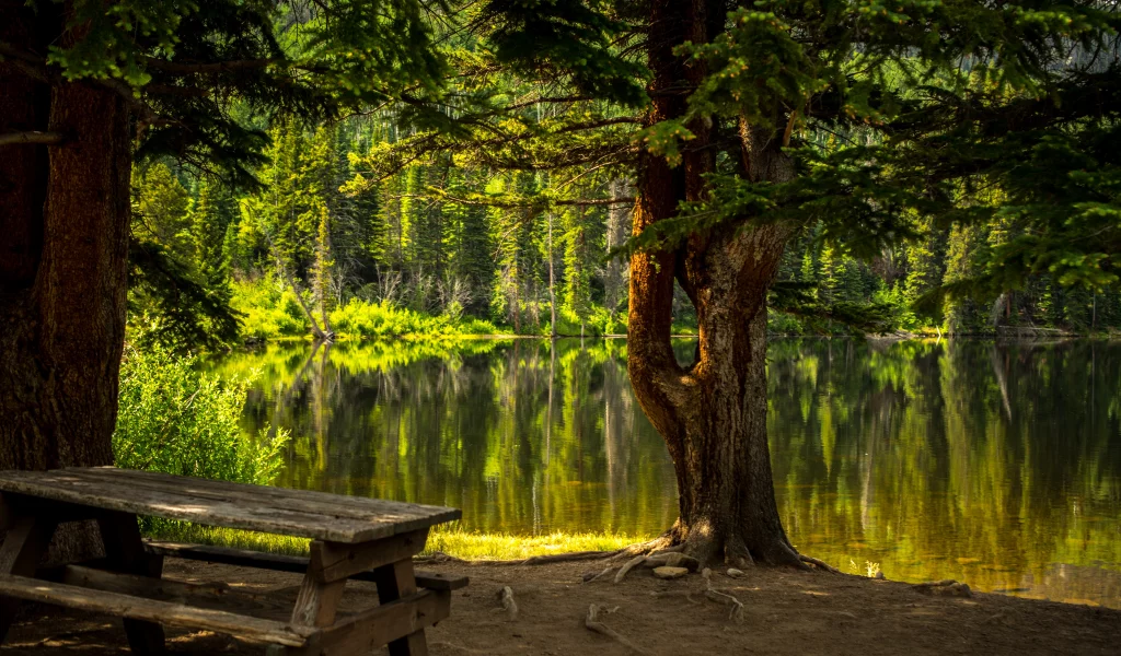 лес, озеро, forest, grass, lake, landscape, park, travel, trees, water, nice, wide
