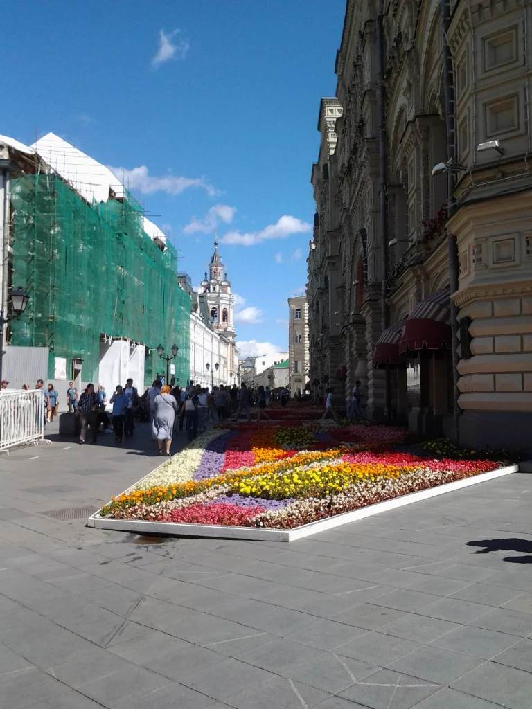 цветы, гум