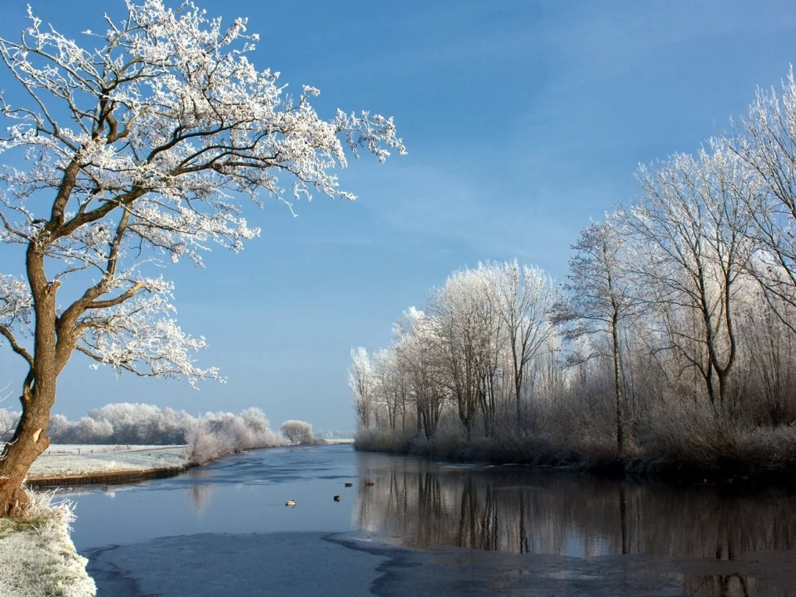природа, красота