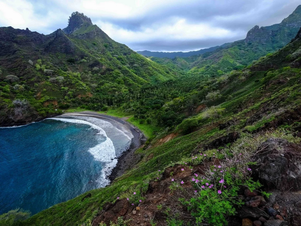 горы, море, mountains, sea, flowers, trees, shore, meadow, grass, sky, nice, see, wide