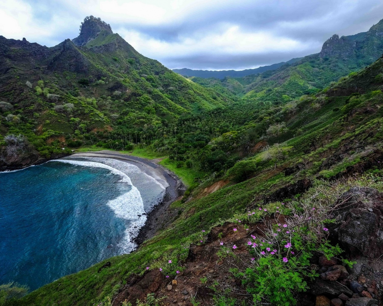 горы, море, mountains, sea, flowers, trees, shore, meadow, grass, sky, nice, see, wide