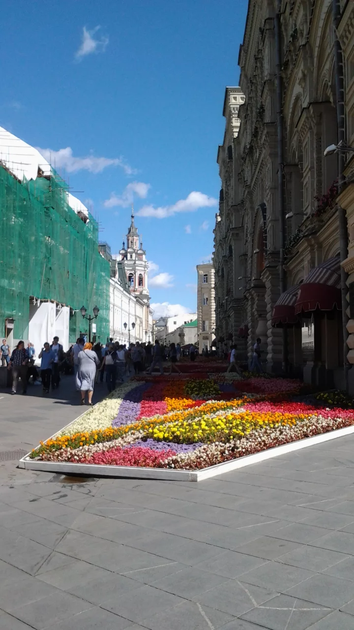 цветы, гум