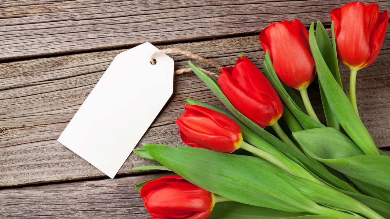 love, wood, тюльпаны, romantic, tulips, любовь, букет, red, flowers, цветы
