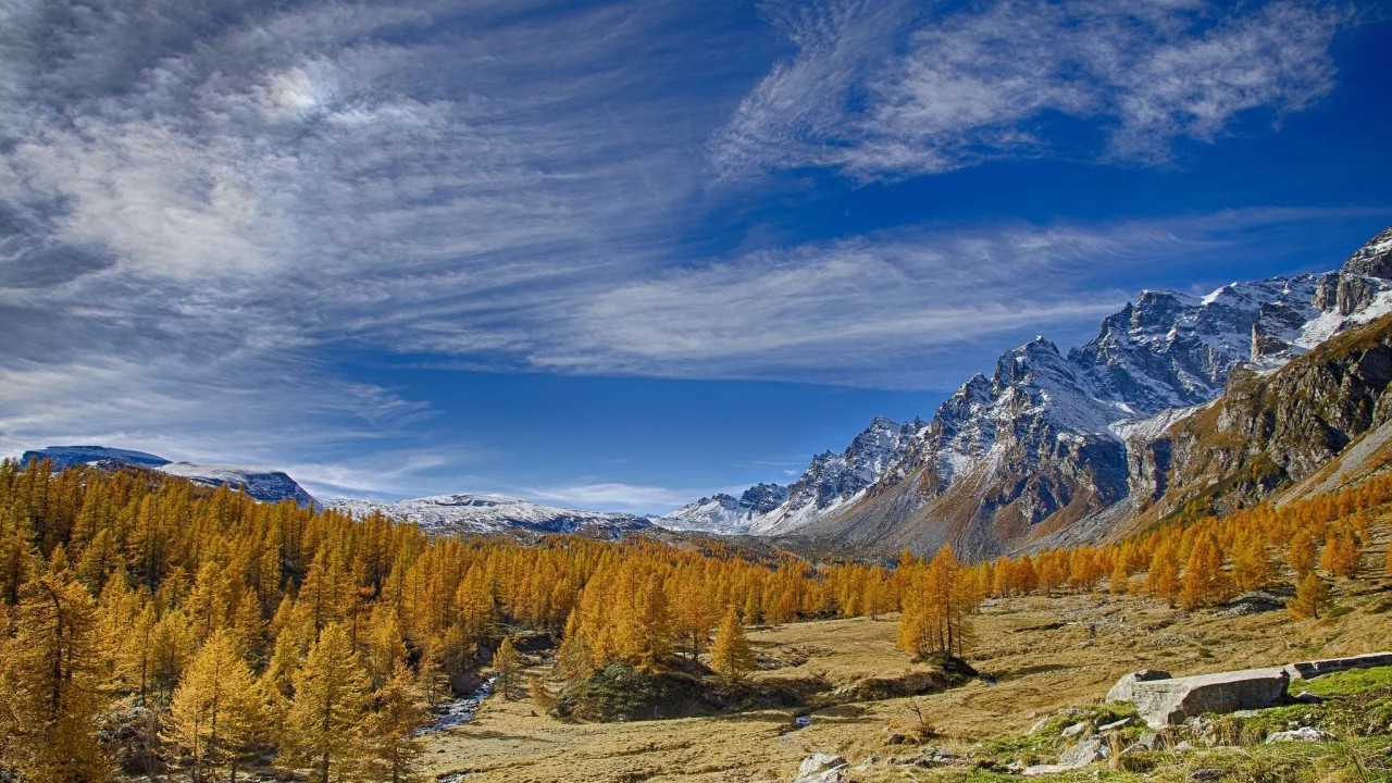 природа, красота