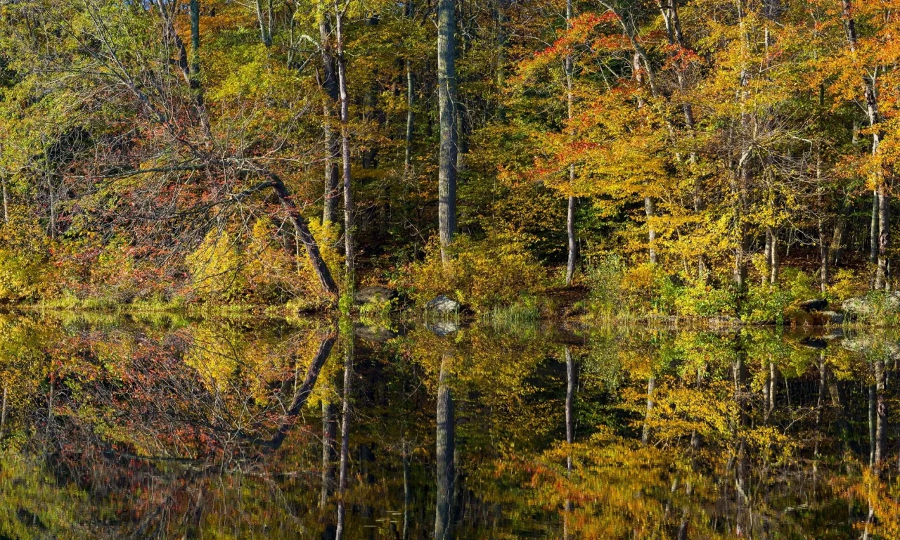 природа, красота