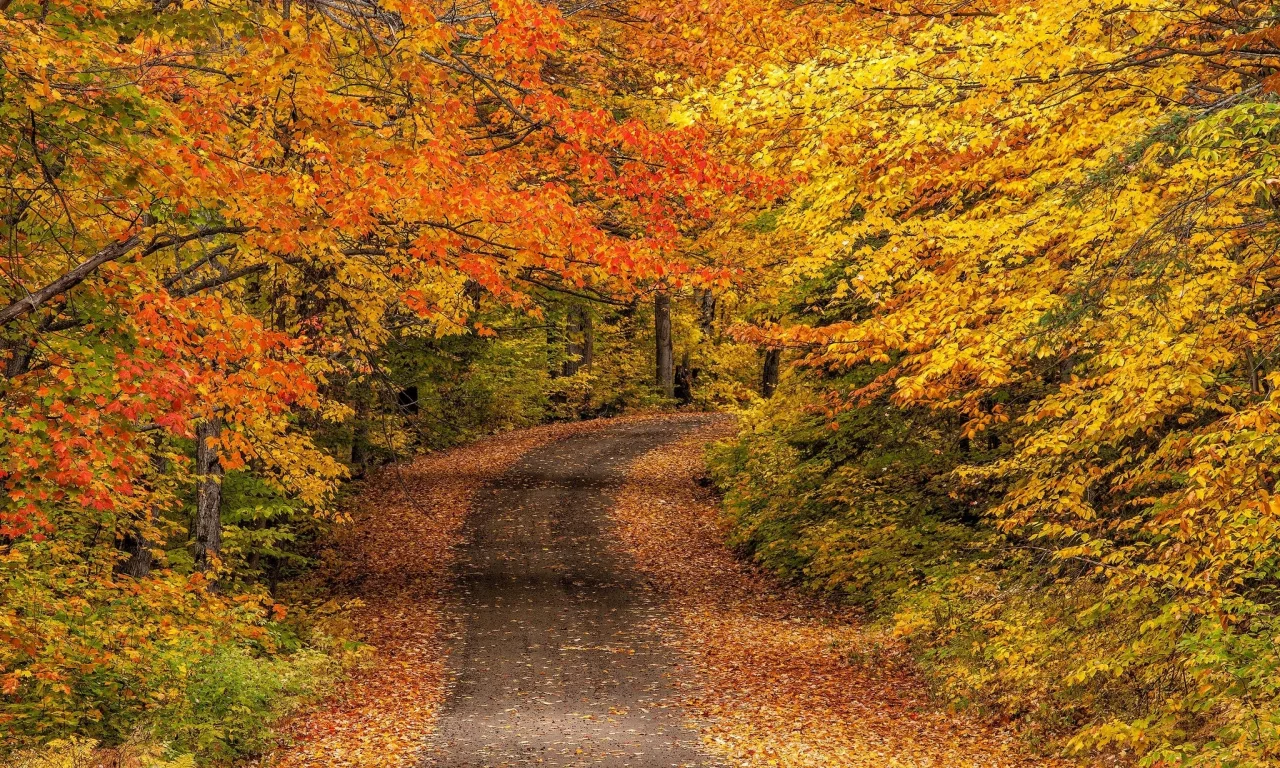 природа, красота