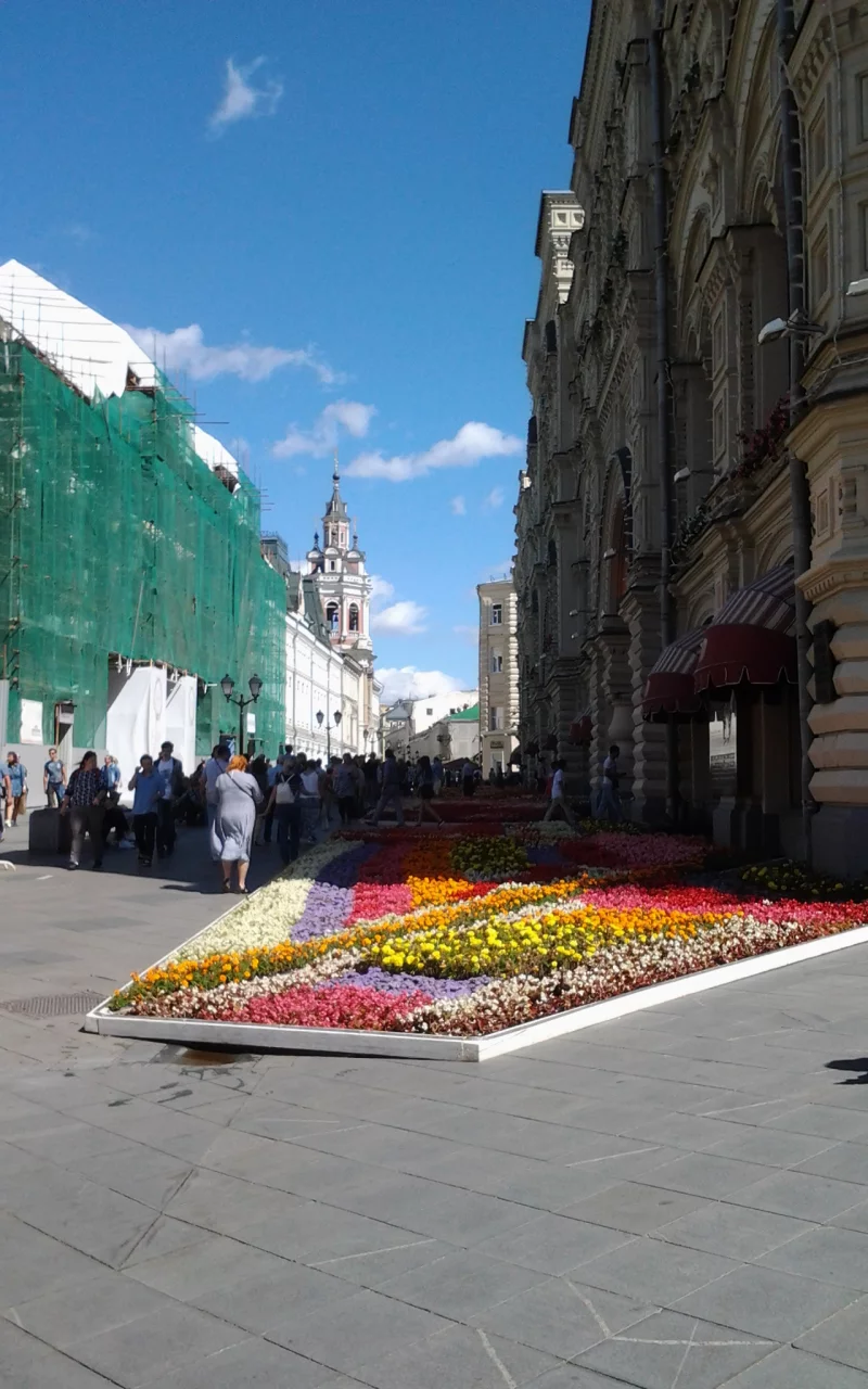 цветы, гум