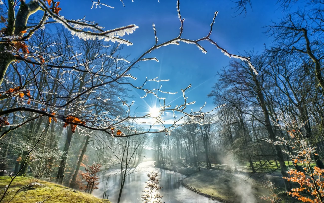 природа, красота