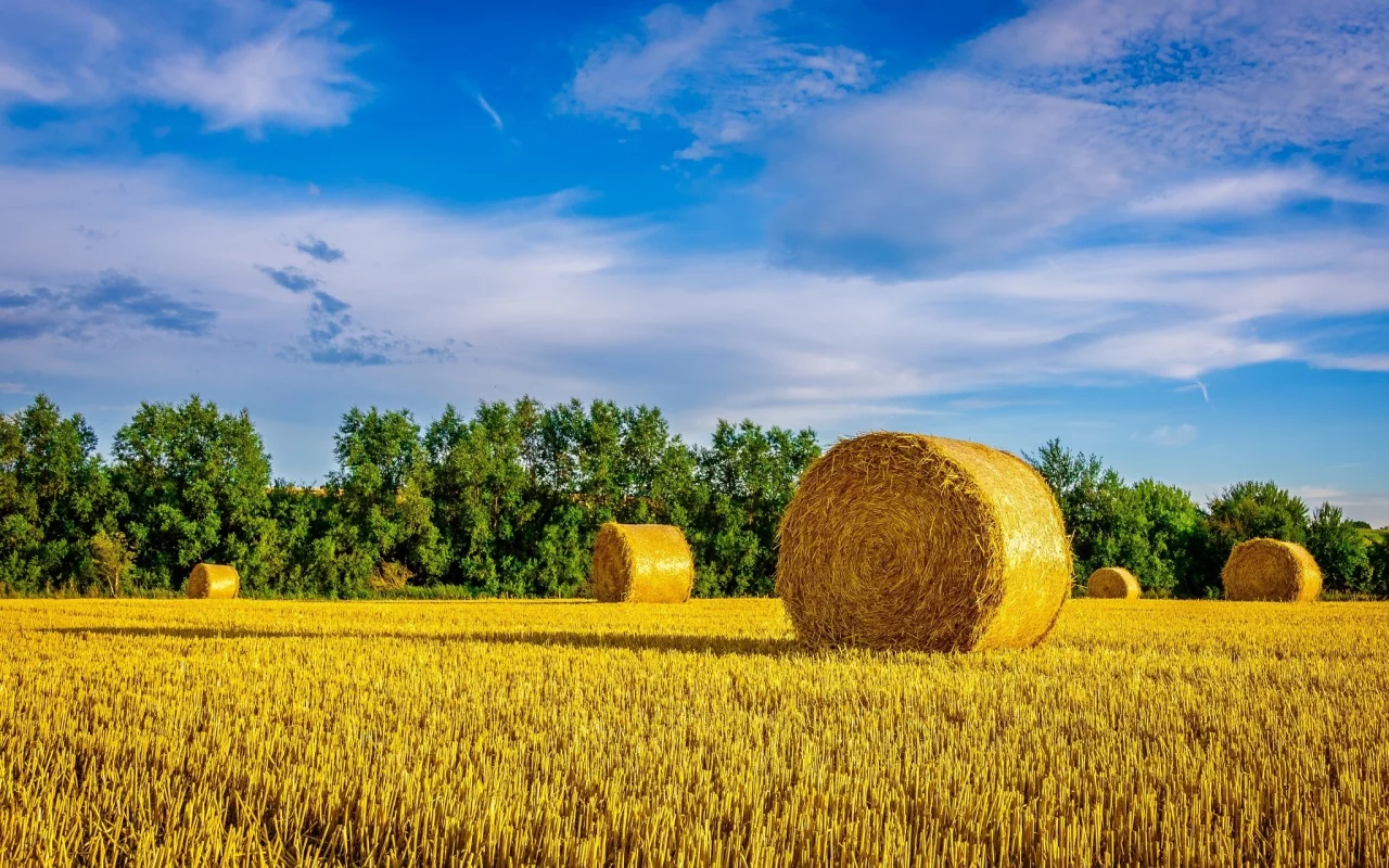 природа, красота