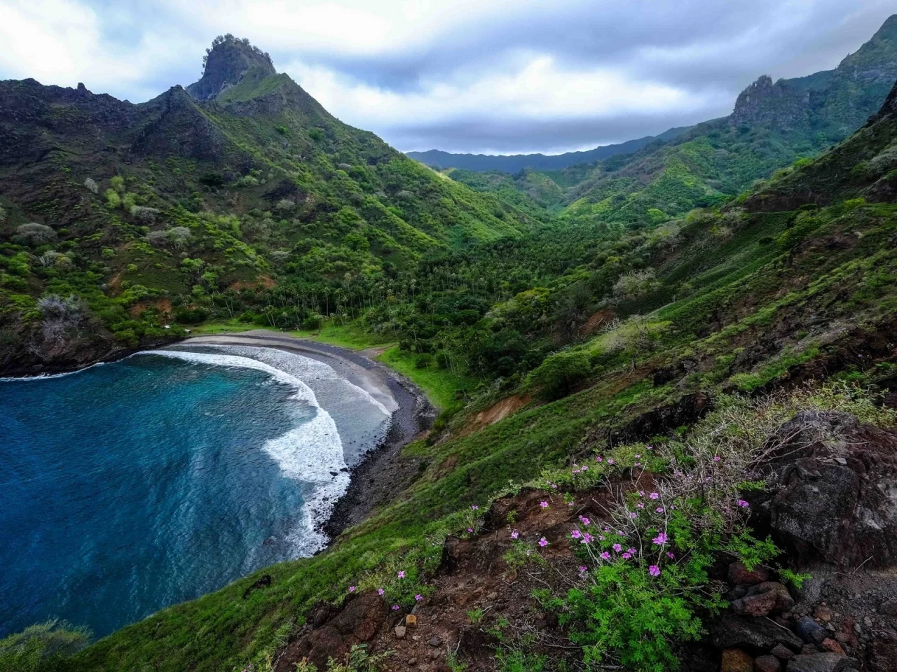 горы, море, mountains, sea, flowers, trees, shore, meadow, grass, sky, nice, see, wide