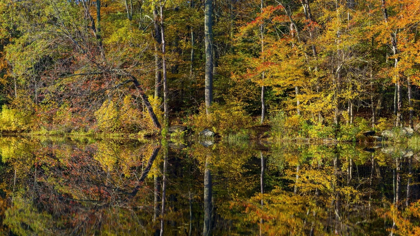 природа, красота