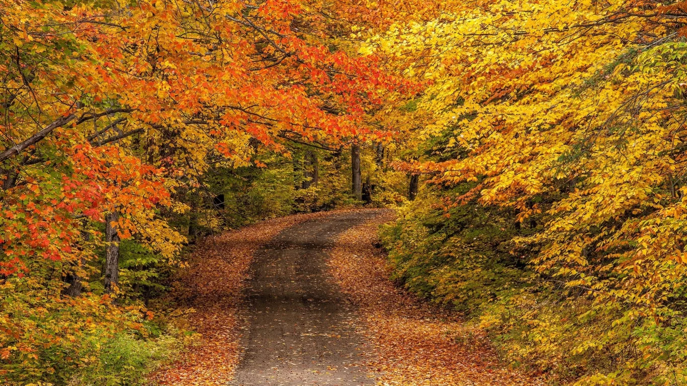 природа, красота