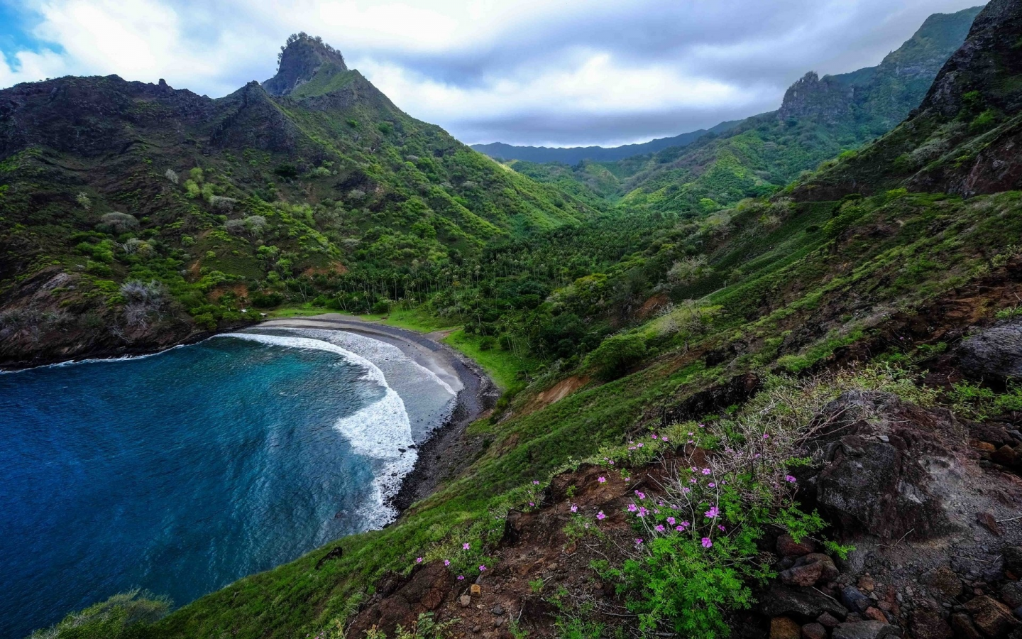 горы, море, mountains, sea, flowers, trees, shore, meadow, grass, sky, nice, see, wide