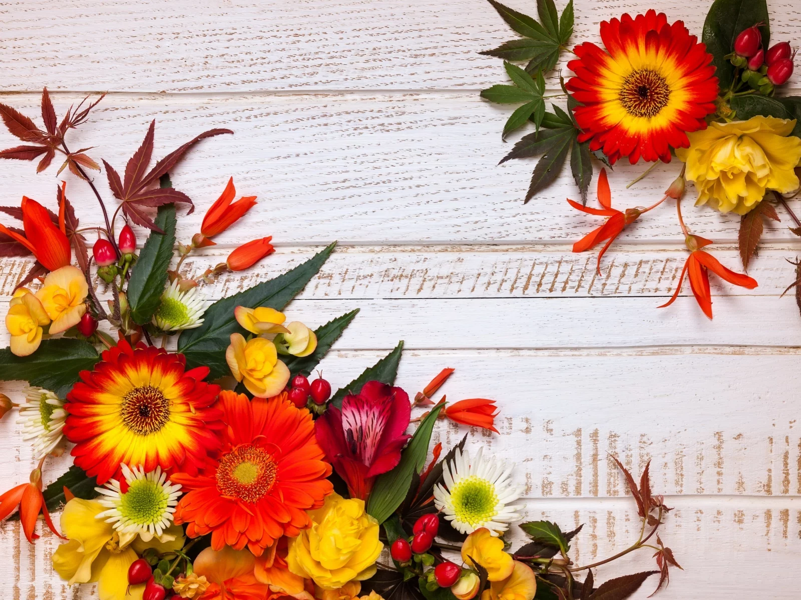 осень, wood, композиция, листья, autumn, leaves, floral, frame, flowers, цветы