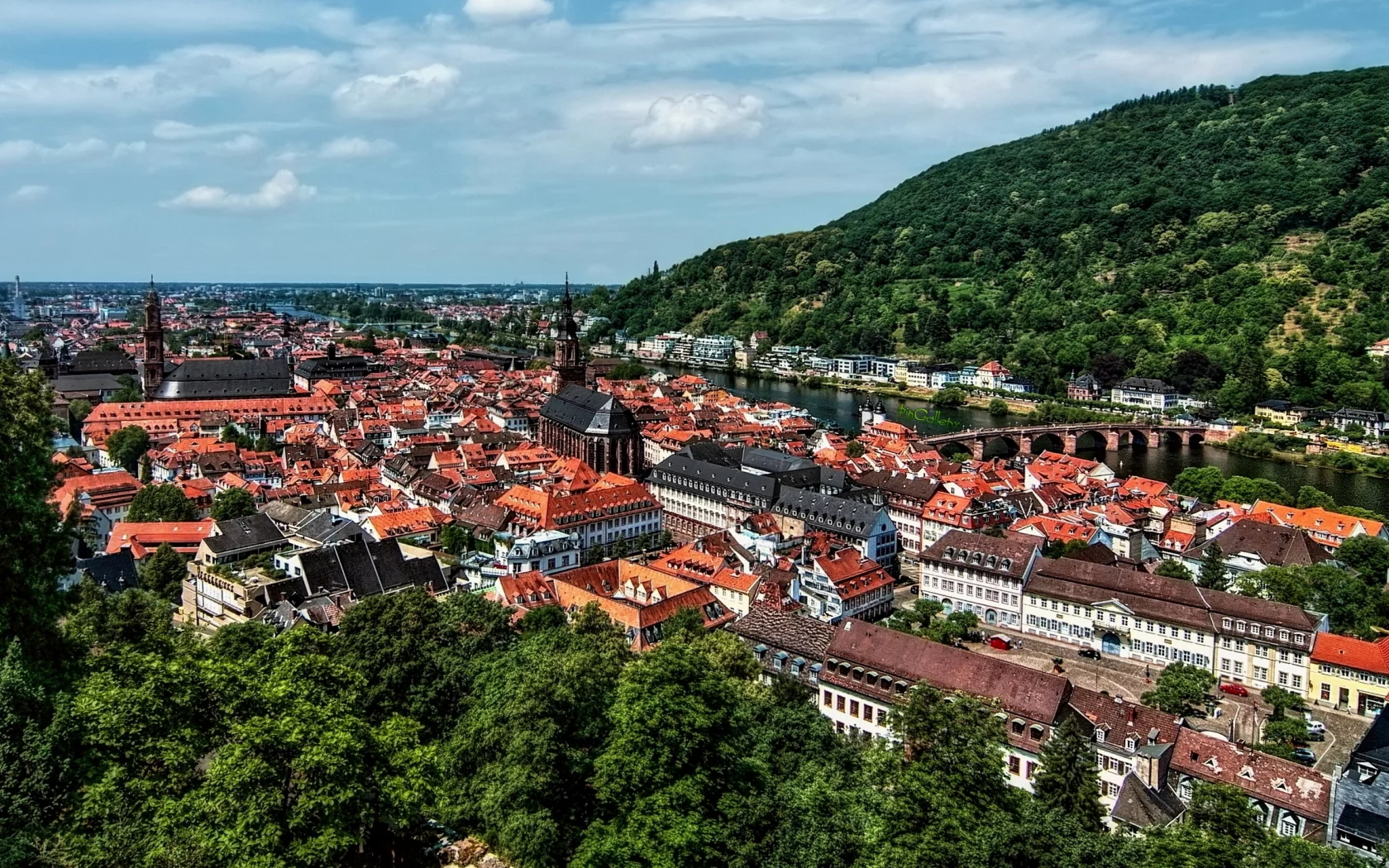 вид, на, старый, город, гейдельберг, look at the old town of heidelberg, old, town, heidelberg, city, day, sky, see, nice, wide