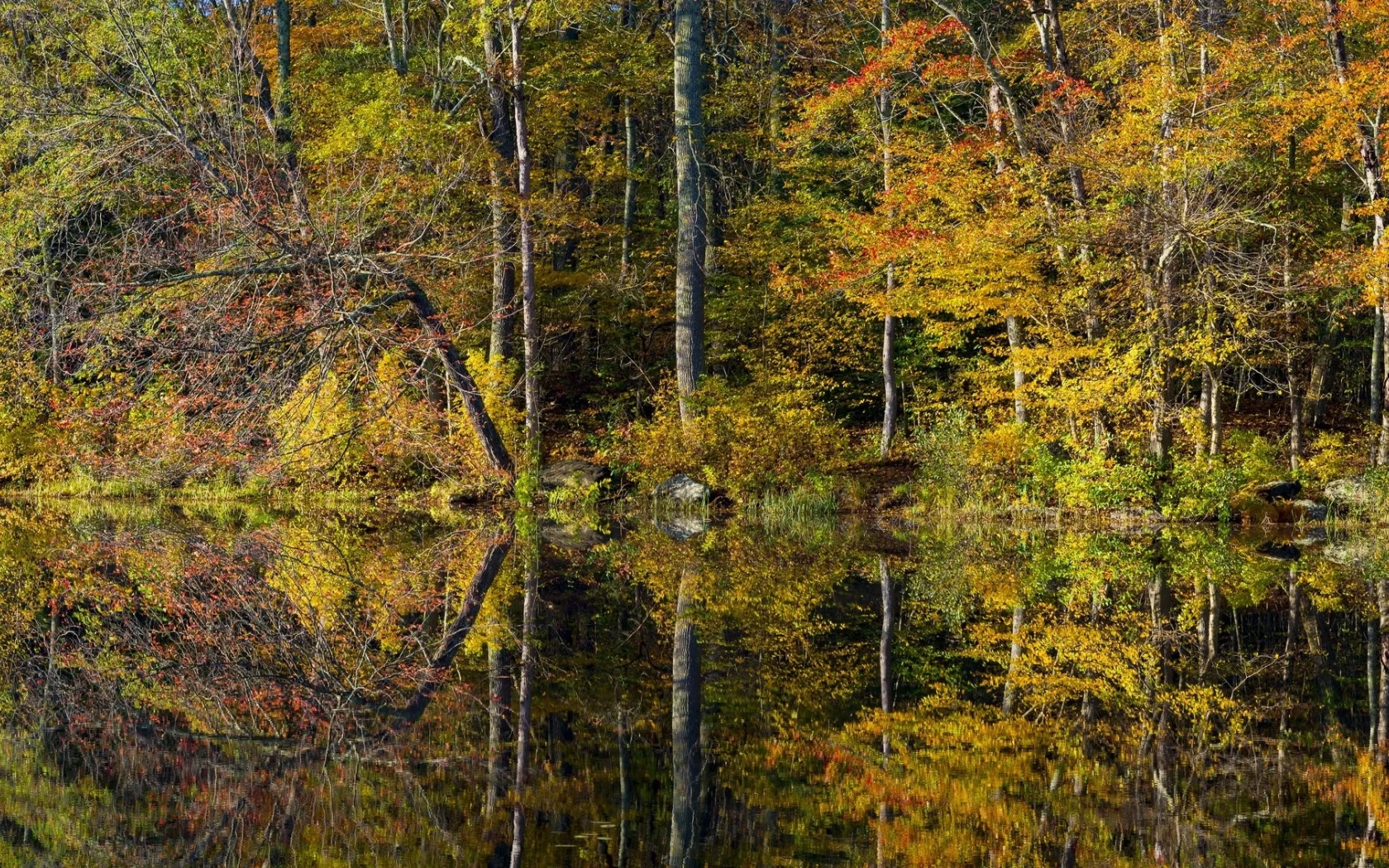 природа, красота
