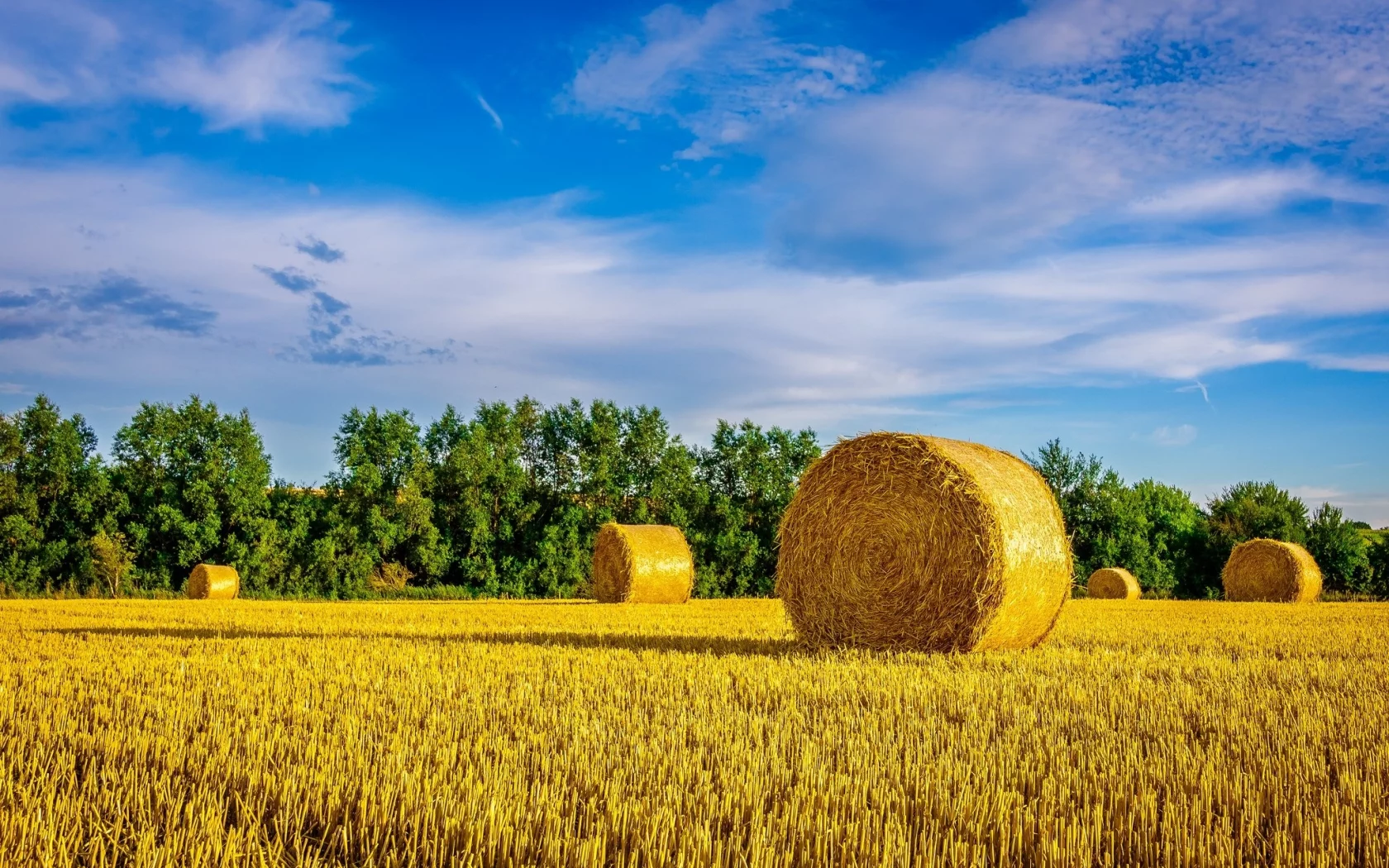 природа, красота