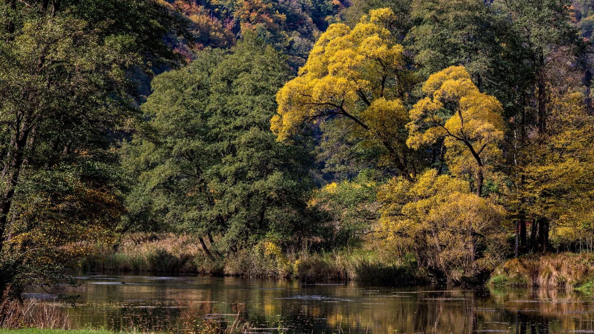 природа, красота