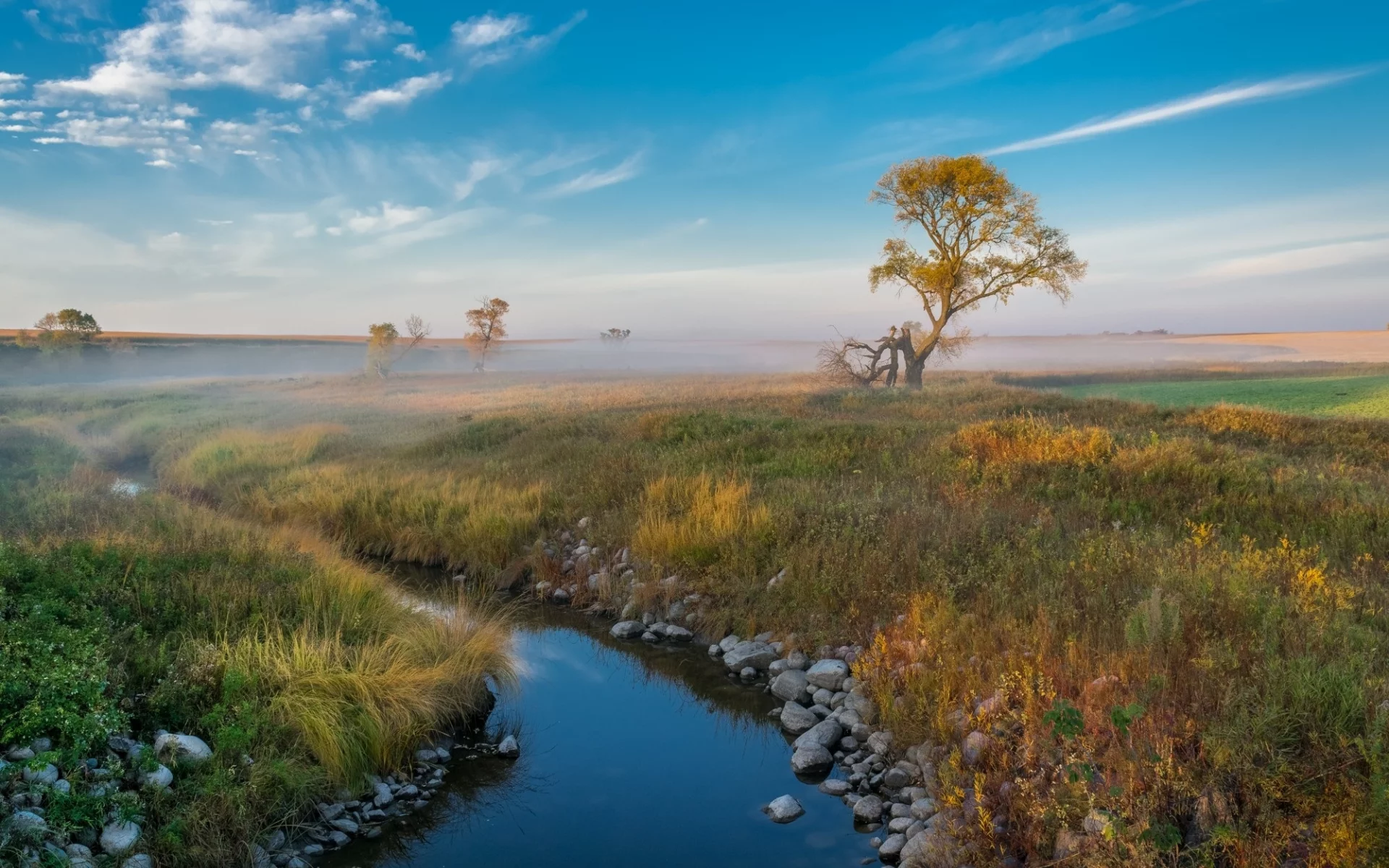 природа, красота