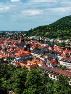 вид, на, старый, город, гейдельберг, look at the old town of heidelberg, old, town, heidelberg, city, day, sky, see, nice, wide