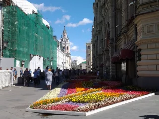 цветы, гум